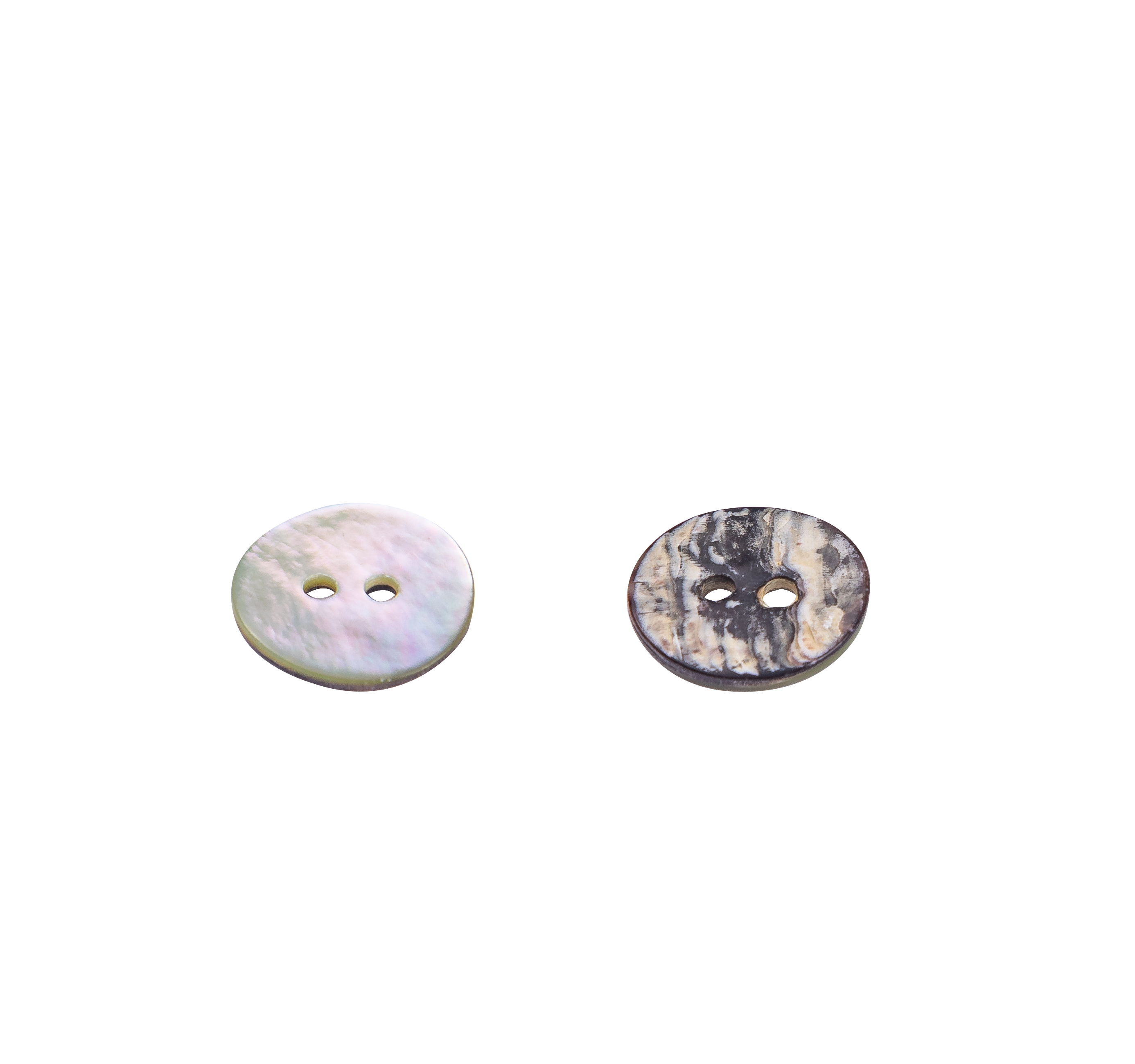 Shell Button 6